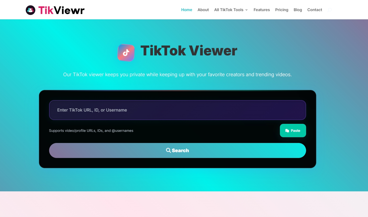 TikViewr website screenshot